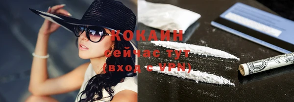 хмурый Гусев