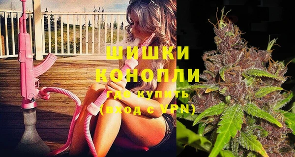 молекула духа Гусиноозёрск