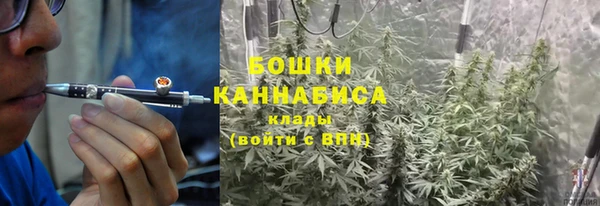 хмурый Гусев