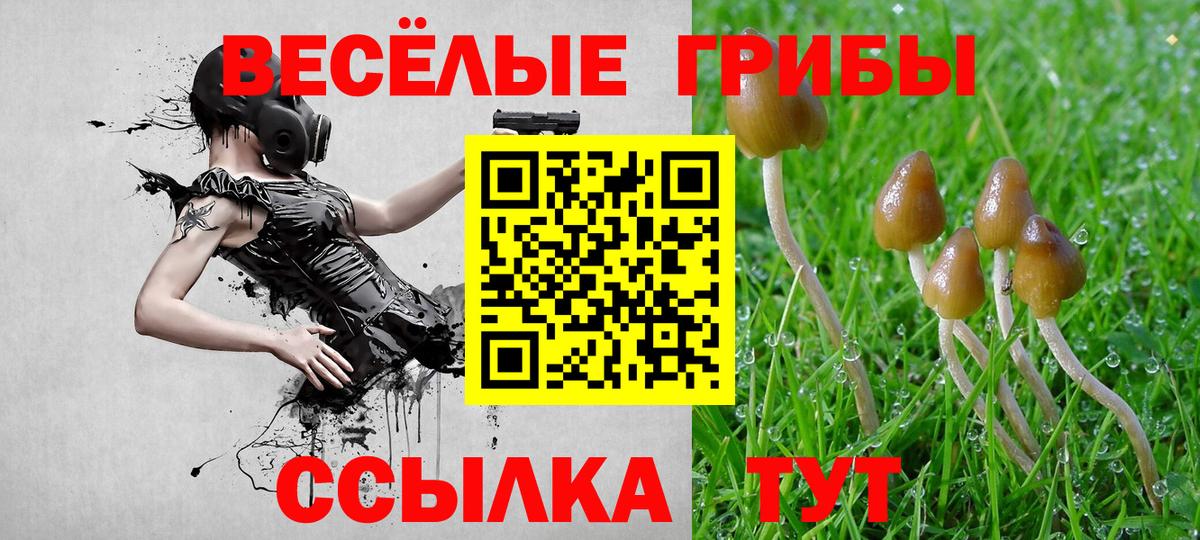 Галлюциногенные грибы Cubensis Можайск