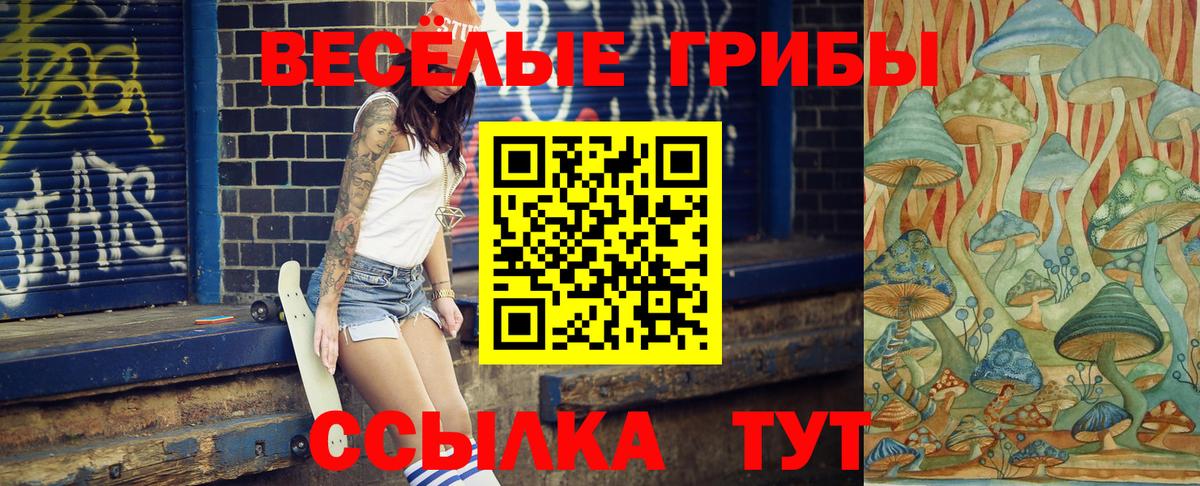 Галлюциногенные грибы мухоморы Можайск