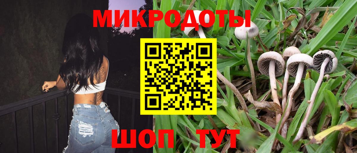 Можайск  Галлюциногенные грибы GOLDEN TEACHER  Вход с VPN  как найти наркотики  Галлюциногенные грибы Magic Shrooms 