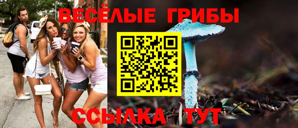 Псилоцибиновые грибы Psilocybe  Галлюциногенные грибы GOLDEN TEACHER  Можайск 