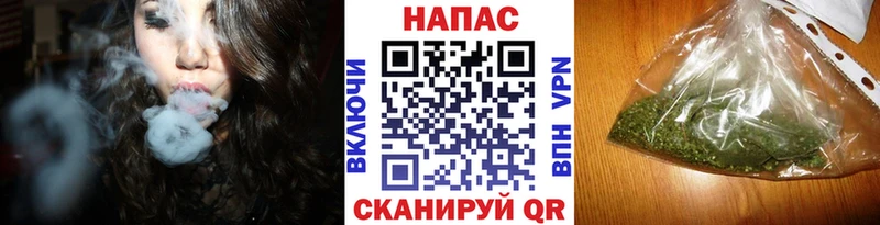Канабис ГИДРОПОН  Можайск 